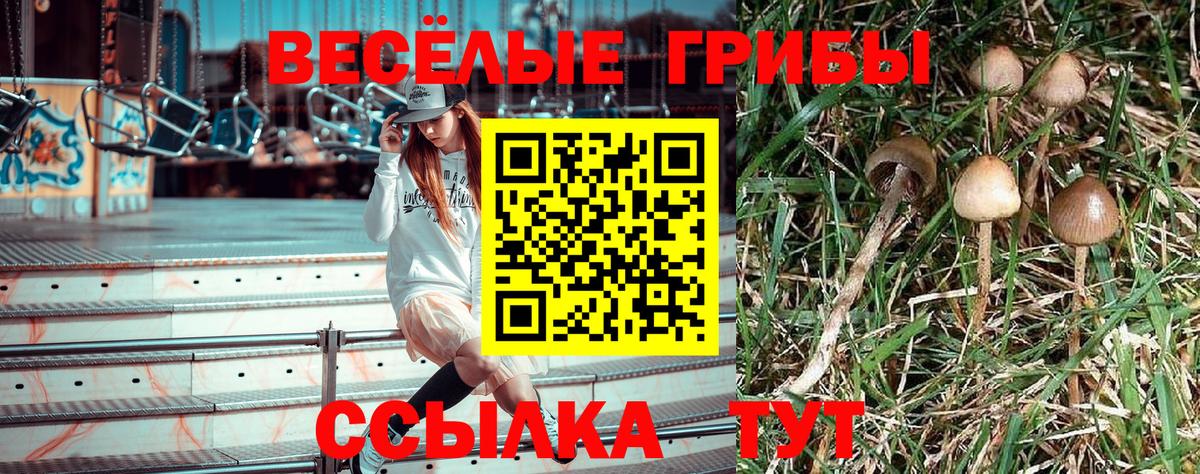 Галлюциногенные грибы GOLDEN TEACHER Лосино-Петровский
